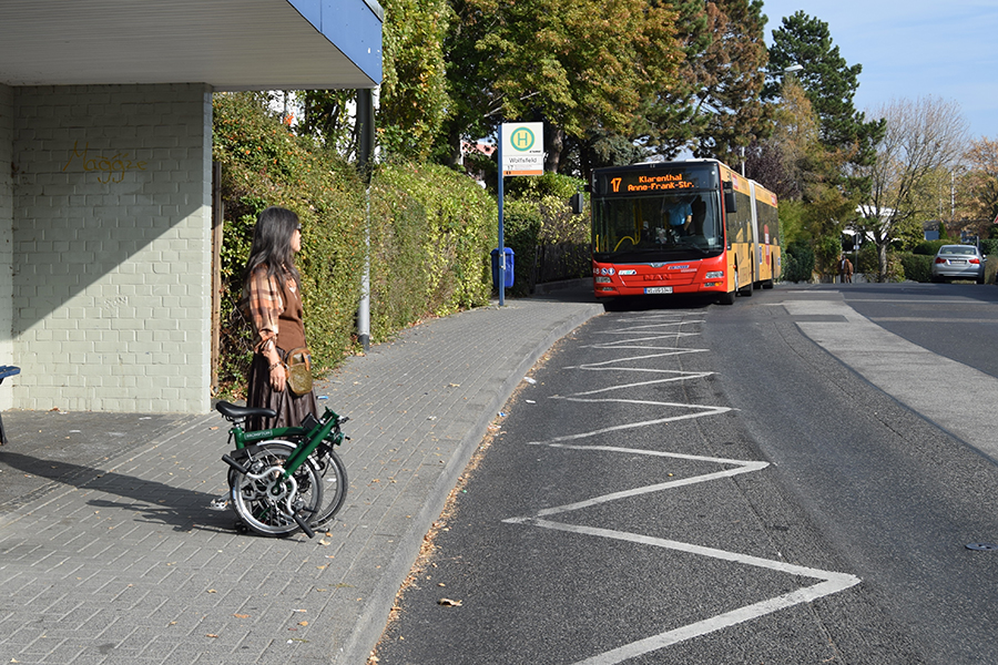 large folding bike